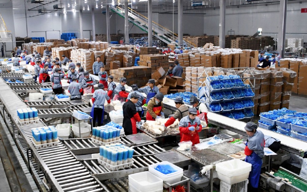 The key equipment to solve the problem of unstable palletizing quality